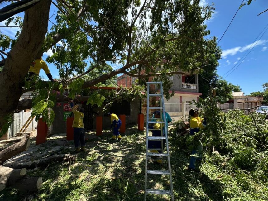 Continúa el operativo de emergencia en Maracaibo para retirar árboles caídos y atender a los afectados tras los fuertes vientos del sábado.