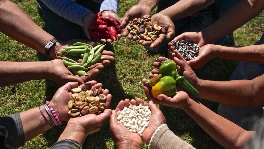 Productores expusieron sus experiencias en Encuentro por Día de la Semilla Campesina