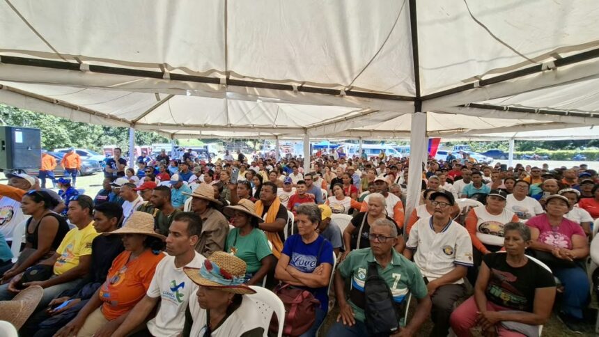 Sucre: lanzan el Plan Nacional Comunal del Cacao para beneficiar a más de 1.600 productores.