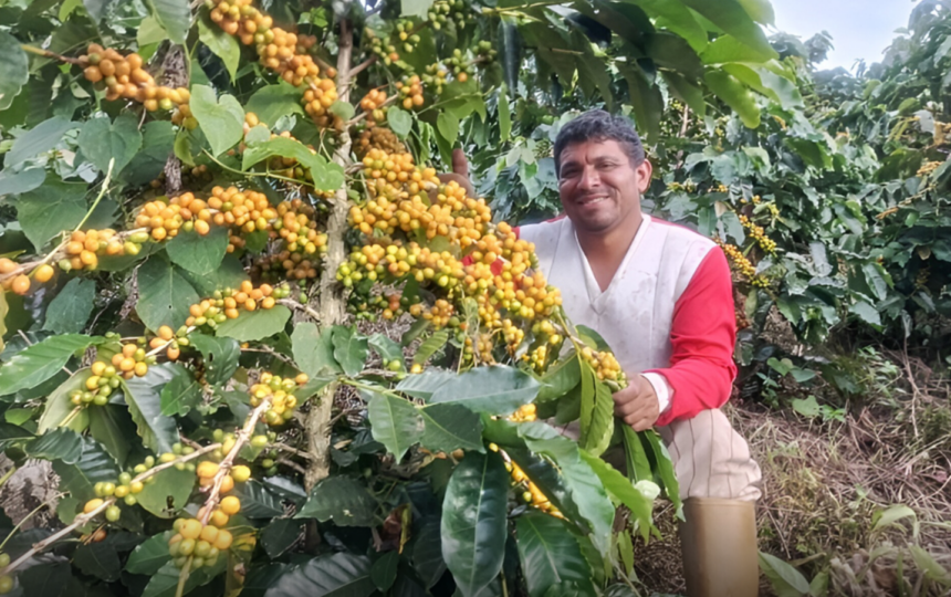 Venezuela alcanza récord en producción de café y proyecta escalar al top 11 mundial