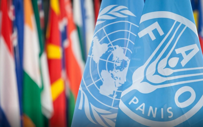 Venezuela reduce 5,3% en 3 años la subalimentación reseña informe ONU-FAO